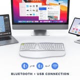 Seenda Wireless Ergonomic USB Keyboard