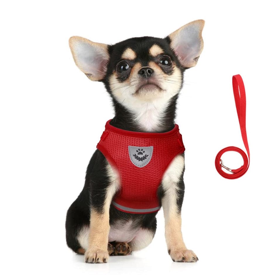 FEimaX Soft Mesh Dog Harness and Leash Set