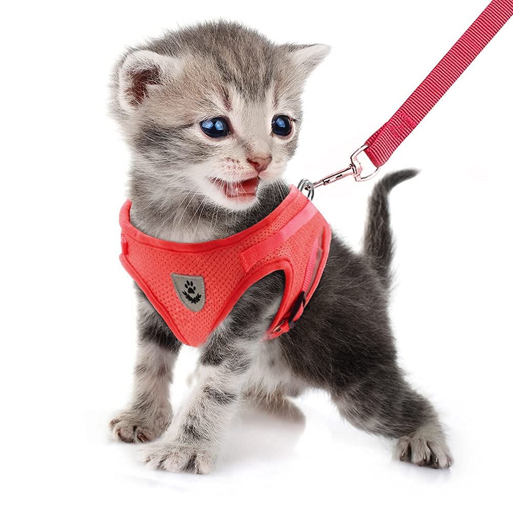 FEimaX Soft Mesh Dog Harness and Leash Set
