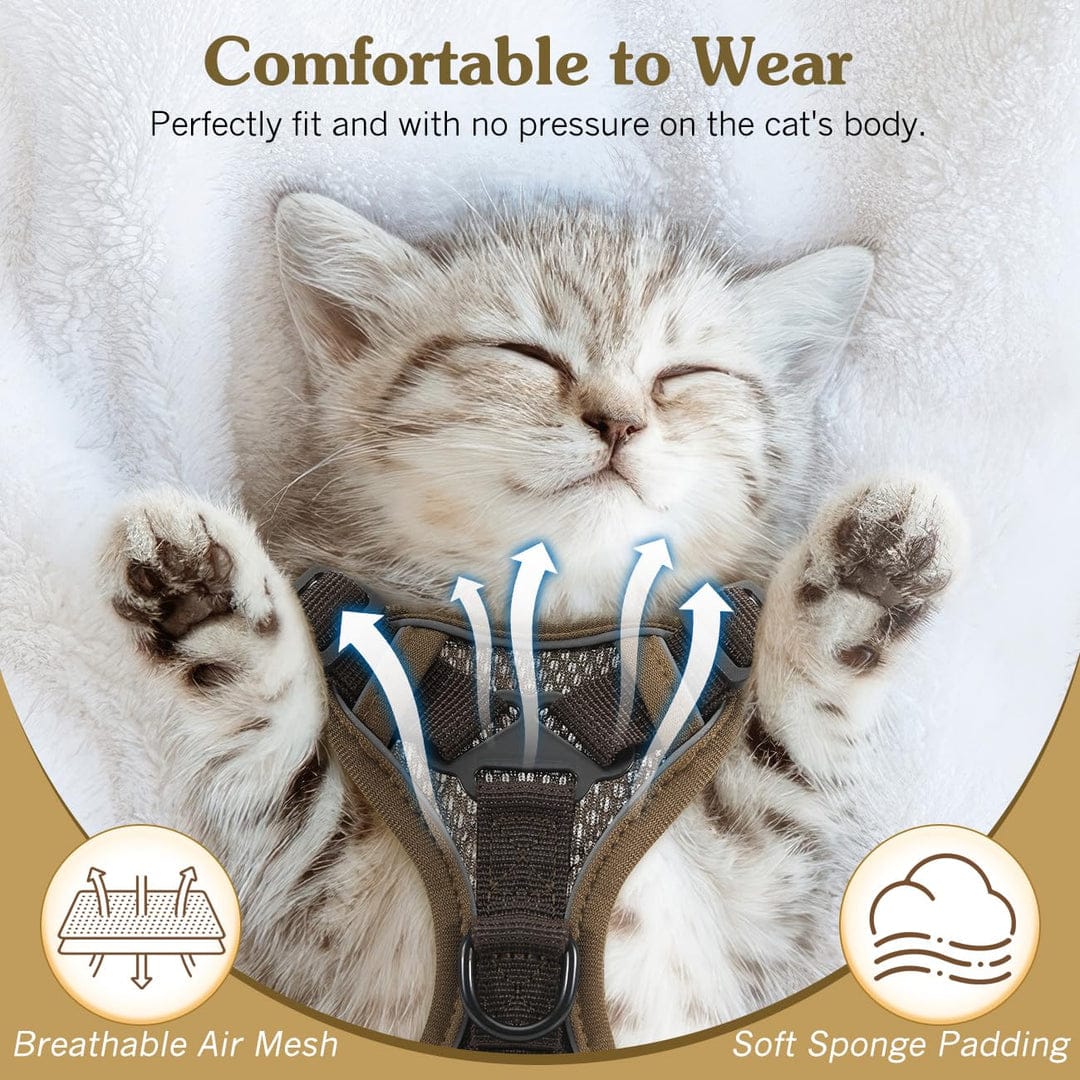 VavoPaw Cat Harness and Leash Set for Walking