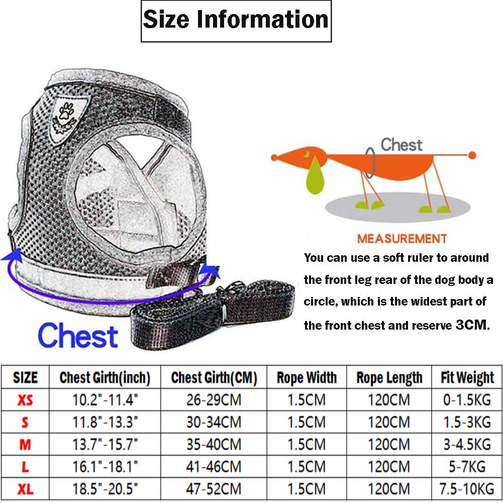 FEimaX Soft Mesh Dog Harness and Leash Set