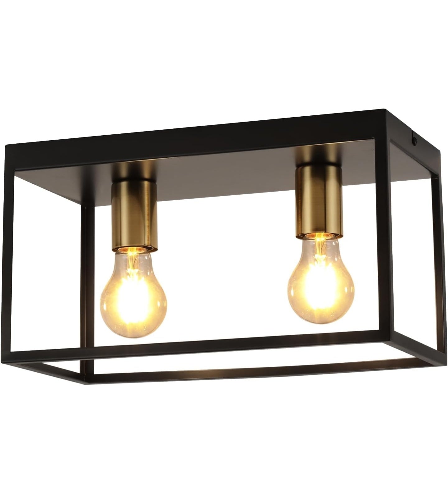 FORCOSO Black Ceiling Lights 2 Lights