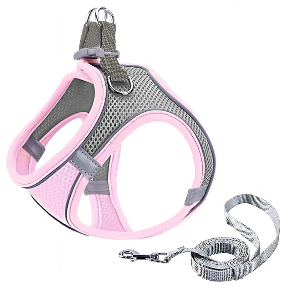 GIAPINST Dog & Cat Harness, Step-in Dog Harness and Leash Set