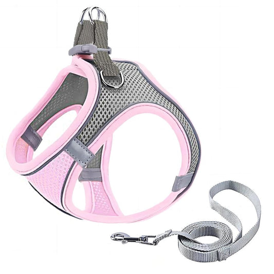 GIAPINST Dog & Cat Harness, Step-in Dog Harness and Leash Set