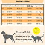GIAPINST Dog & Cat Harness, Step-in Dog Harness and Leash Set