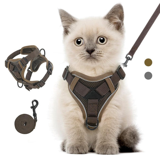 VavoPaw Cat Harness and Leash Set for Walking