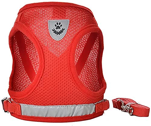 FEimaX Soft Mesh Dog Harness and Leash Set