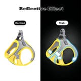 GIAPINST Dog & Cat Harness, Step-in Dog Harness and Leash Set
